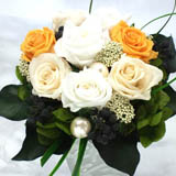 �v���U�[�u�h�t�����[Freshness�@ORANGE""