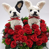 �t�����`�u���h�b�O�̌������p�E�F���J���h�b�O