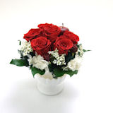 �h�V�̓������̐Ԃ��o���v���U�[�u�h�t�����[�A�����W
