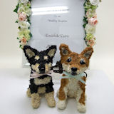 ウェルカムボード付き 柴犬のウェルカムドッグ