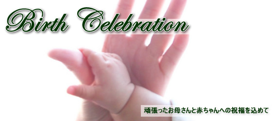 �o�Y�j���̉ԁE���o�Y���j���ɐe�q�̓����v���U�[�u�h�t�����[�A�����W