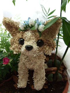 �`���������