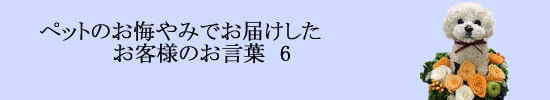 ペットのお悔やみでご利用のお客様のお声画像付き