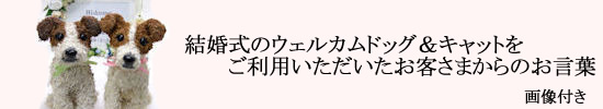 ウェルカムドールお客様のお声画像付き