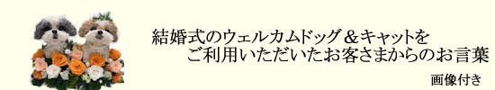 お客様のお声画像付き
