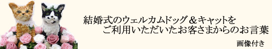 ウェルカムドールお客様のお声画像付き