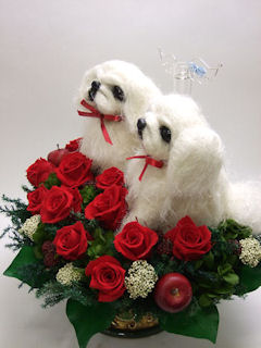 �y�L�j�[�Y�̃E�F���J���h�b�O�A�E�F�f�B���O�p�A�C�e��