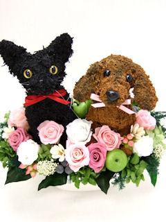 ダックスフントと黒猫のウェルカムドッグ結婚祝い