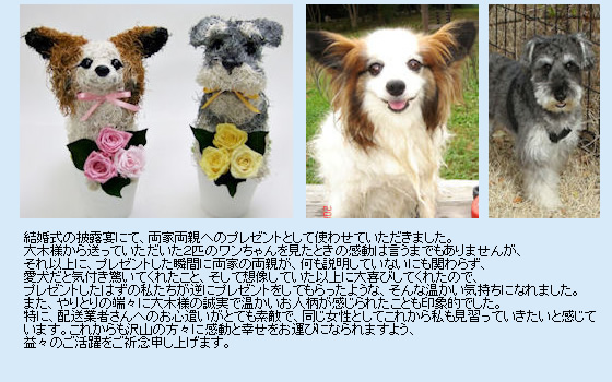 �E�F���J���h�b�O�̂��q�l����̌��t
