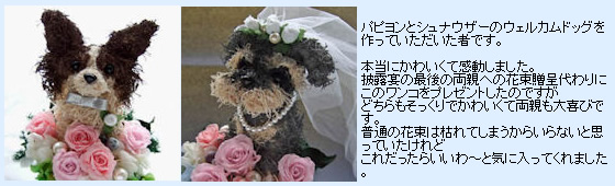�E�F���J���h�b�O�̂��q�l����