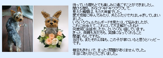 �E�F���J���h�b�O�̂��q�l����