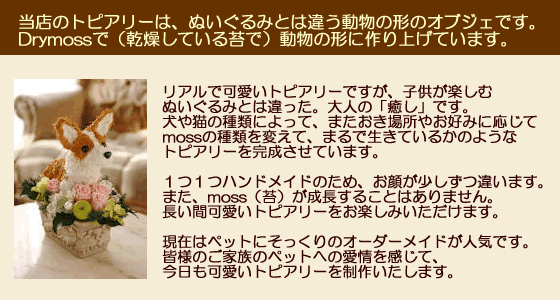 犬猫トピアリーフラワーギフトのアトリエ花倶楽部のオリジナルトピアリーについて、トピアリーとは?