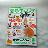 愛犬チャンプ