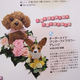 愛犬チャンプ