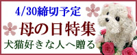 ��̓��t�����[�M�t�g�A���D���Ȃ��ꂳ��ɕ�̓��̑��蕨�A�v���U�[�u�h�t�����[�A�����W