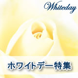 �z���C�g�f�[���W