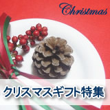 �N���X�}�X�M�t�g���W