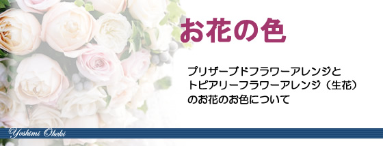 犬の形猫の形のの花ギフト、フラワーギフトの色について