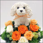 犬の花ギフトプリザーブドフラワーアレンジ