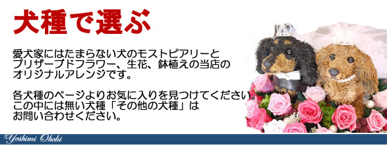 犬好きが喜ぶプレゼント 犬のプリザーブドフラワーアレンジ ダックス、シーズー、プードルなど各犬種のトピアリー