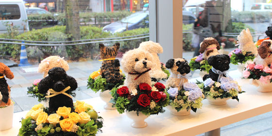 表参道ヒルズ個展、犬猫トピアリー プリザーブドフラワーアレンジ