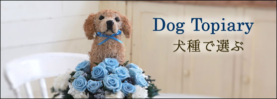 犬の形 トピアリー プリザーブドフラワー