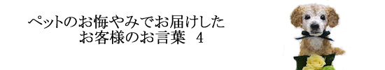 お客様のお声画像付き