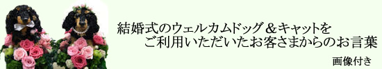 ウェルカムドールお客様のお声画像付き