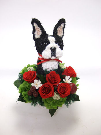 犬 花ギフト