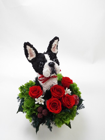 犬好き母へプレゼント