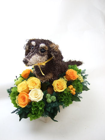 ダックス 花