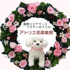 犬猫とフラワーアレンジアトリエ花倶楽部