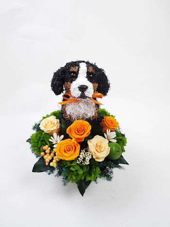 50 素晴らしい犬 お供え 花 すべての美しい花の画像