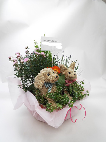 犬猫トピアリー 寄せ植え