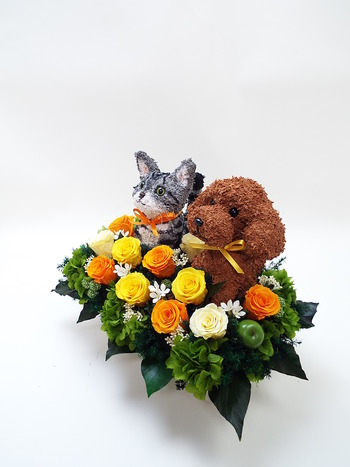 動物病院開院祝いプリザーブドフラワーアレンジ