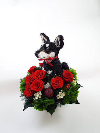 柴犬 花
