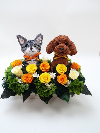 動物病院開院祝い