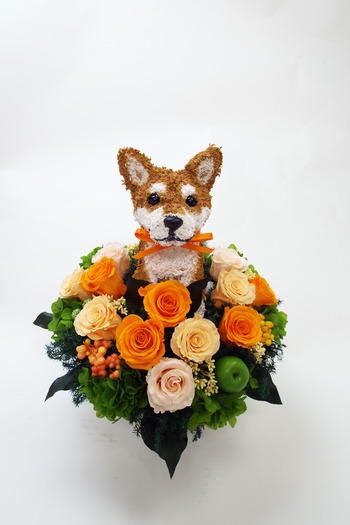 柴犬 プリザーブドフラワーアレンジ