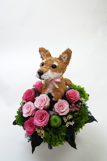 プリザーブドフラワー犬