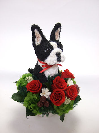犬 プリザーブドフラワー