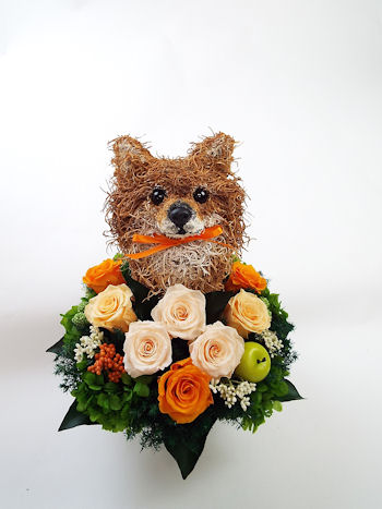 結婚式 ウェルカムドール