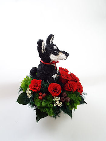 柴犬 プリザーブドフラワー