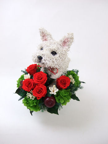 花 犬