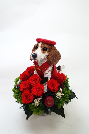 犬好き 還暦祝い