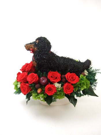 犬好き 贈り物