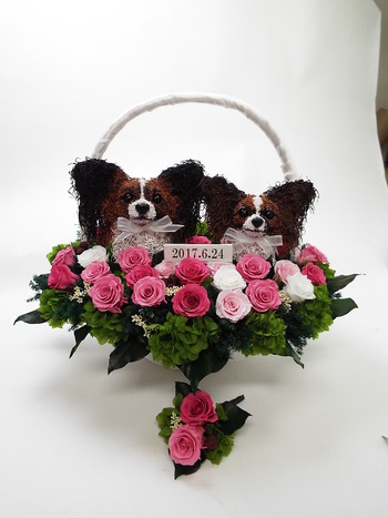 愛犬パピヨンのバスケットブーケ