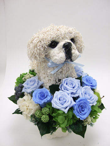 犬の花ギフト