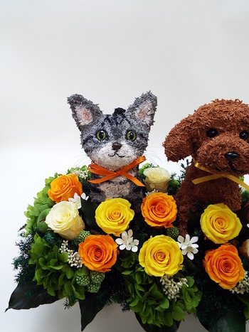 プリザーブドフラワーアレンジ 犬と猫