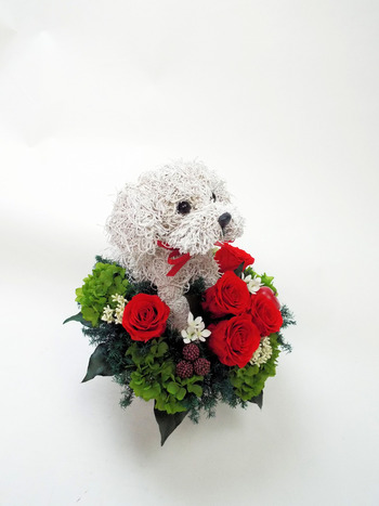 結婚記念日 プリザーブドフラワー 犬好き