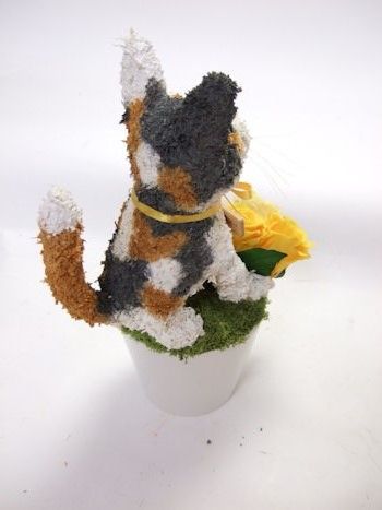 三毛猫 花